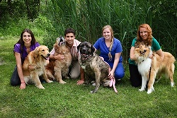 Heawrtland Niagara Animal Hospital, pet friendly Niagara Falls NY, veterinarians in Niagara Falls NY