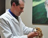 Morgan Animal Hospital pet friendly Veterinarians in Niagara Falls New York, vets in Niagara