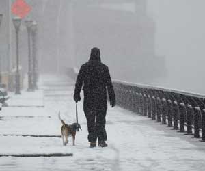 walking dog in winter in new york